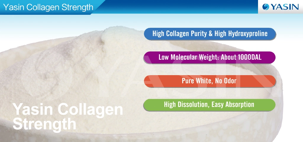 Pure Hydrolyzed Collagen Peptides Powder Best Collagen Powder
