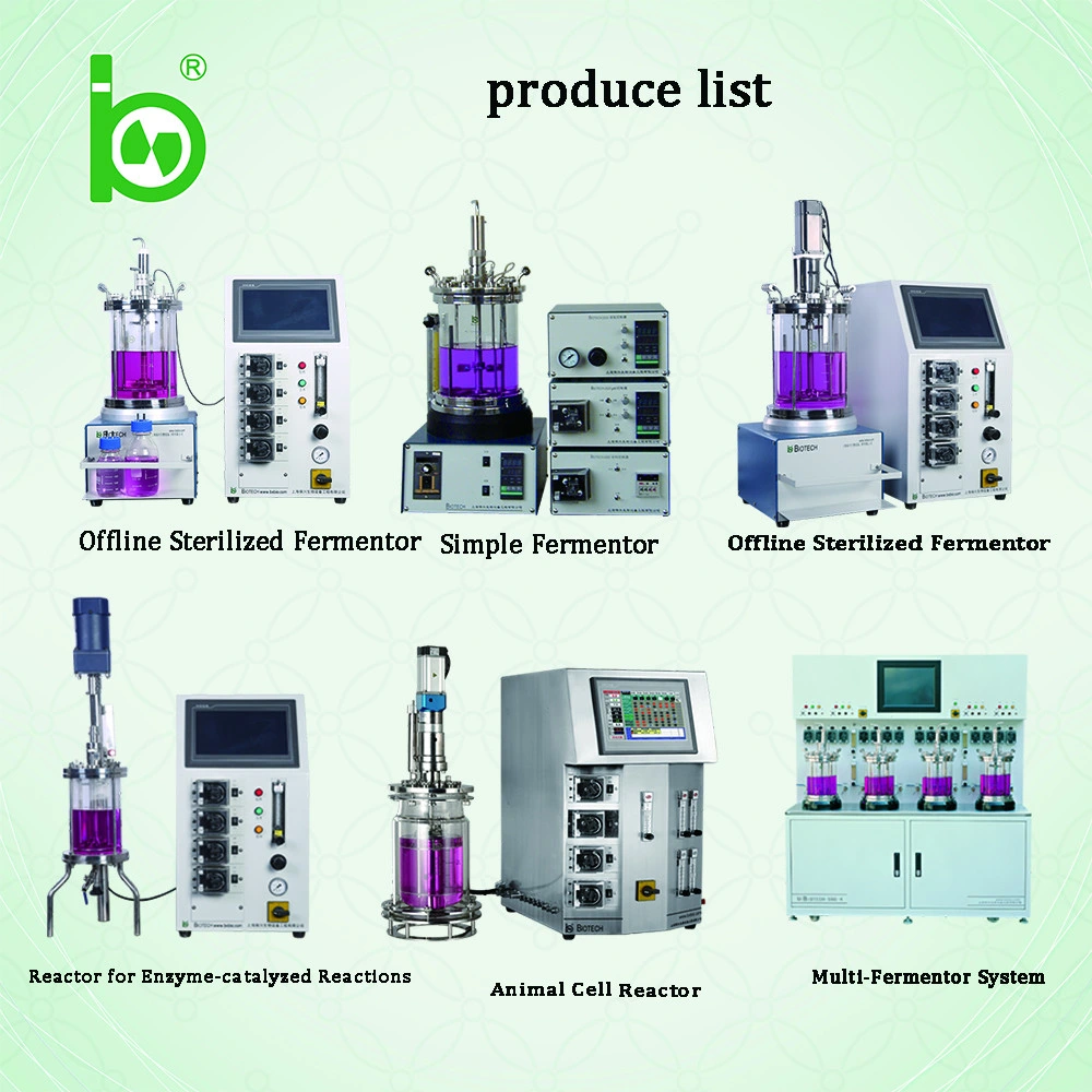 Bx-Bio 0.5L Mini Microorganism Cell Culture Lab Bioreattore