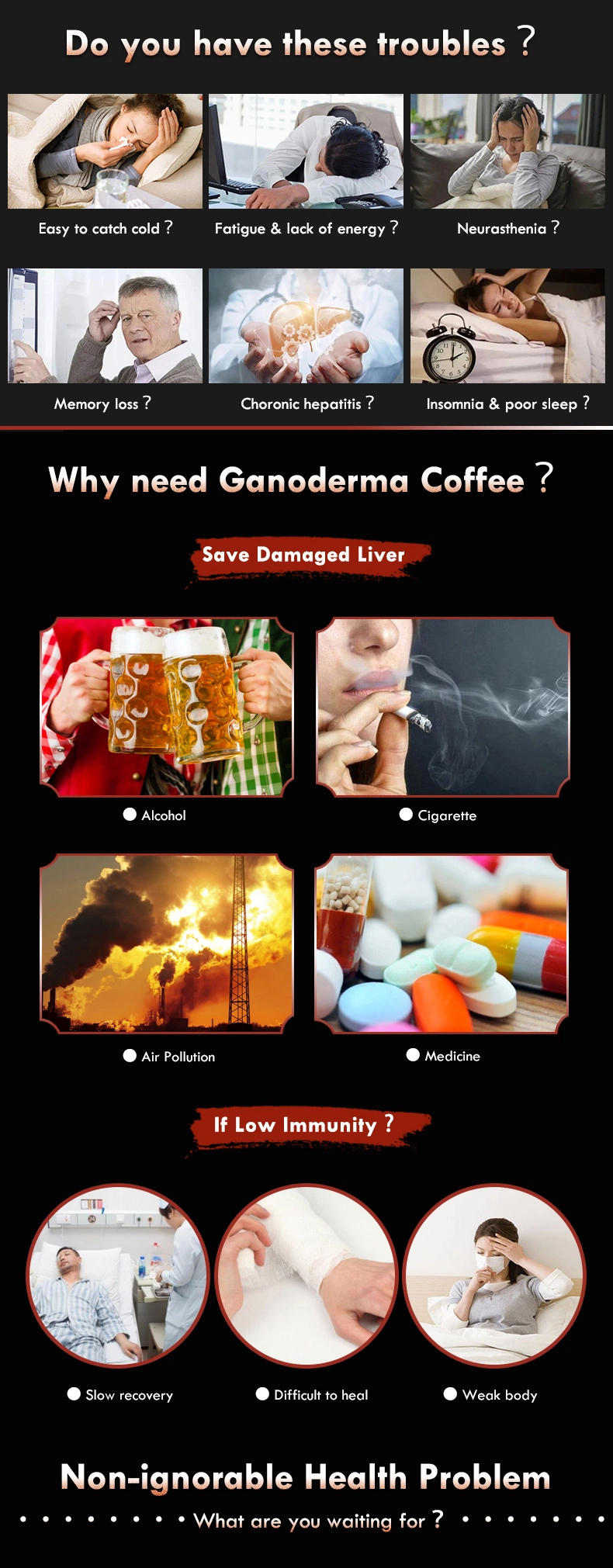 Wholesale Price Herbal Extracts Supplements PRO-Health Immune Booster Anti-Aging Ganoderma Mushroom Instant Coffee