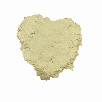 Horseradish Powder Wasabi Powder Mustard Powder for Selling